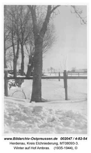 Herdenau, Winter auf Hof Ambras