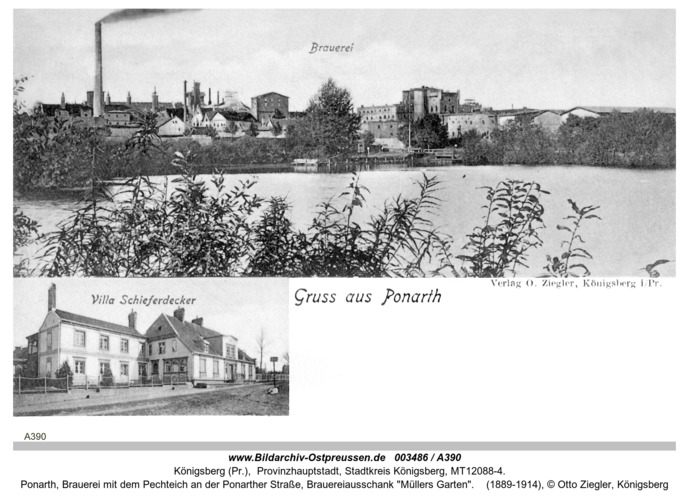 Bildarchiv Ostpreu en K nigsberg Ponarth Brauerei Mit Dem Pechteich Bildarchiv Ostpreu en K nigsberg Ponarth Brauerei Mit Dem Pechteich