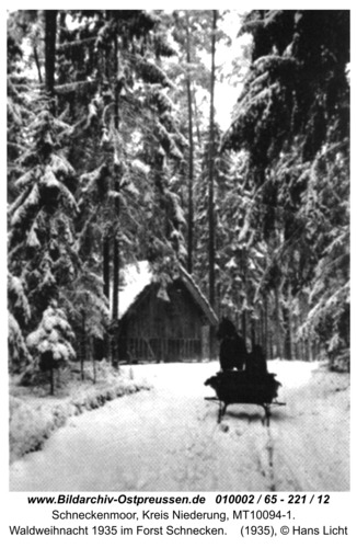 Schneckenmoor, Waldweihnacht 1935 im Forst Schnecken