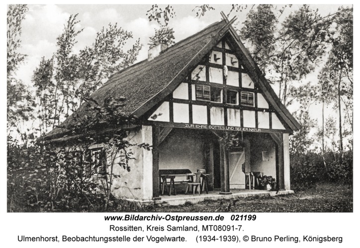 Rossitten Kr. Samland, Ulmenhorst, Beobachtungsstelle der Vogelwarte