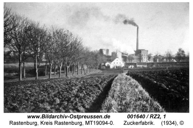 Rastenburg, Zuckerfabrik