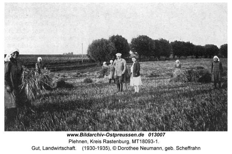 Bildarchiv Ostpreußen, Unter Plehnen, Gut, Landwirtschaft