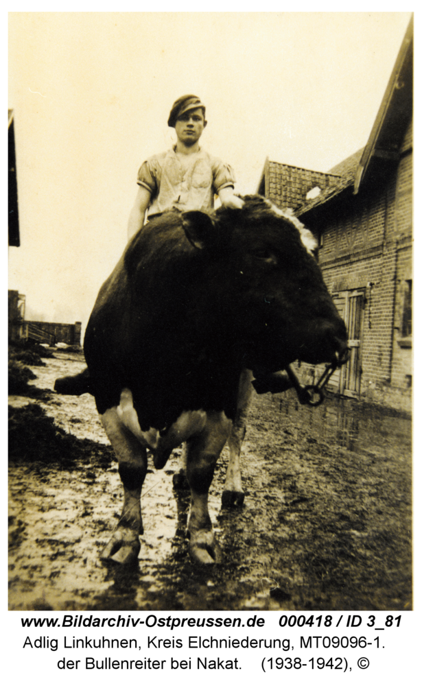 Adlig Linkuhnen, der Bullenreiter bei Nakat