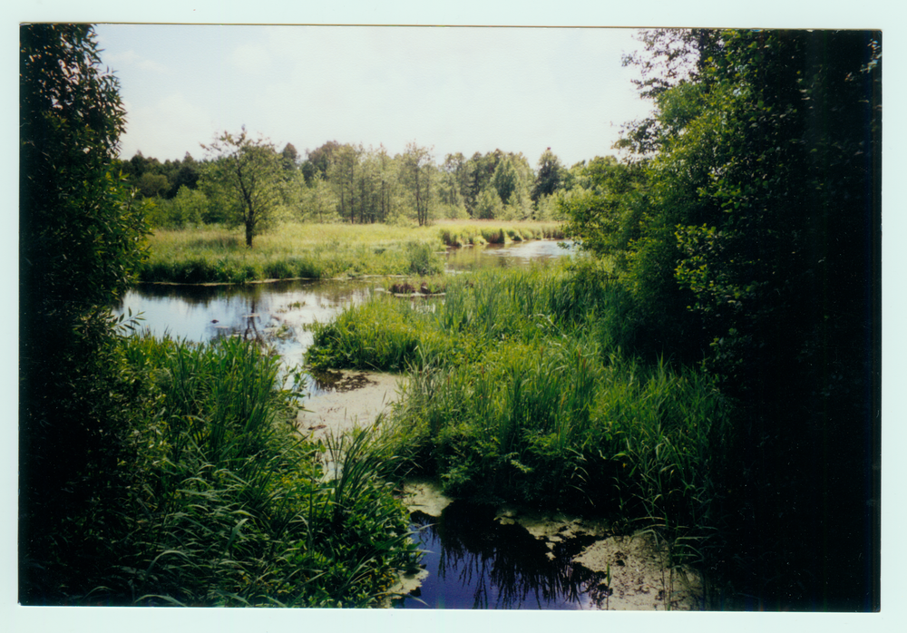 Pait, Blick auf den Pait-Fluß