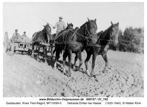 Gaistauden, Getreide-Drillen bei Haese