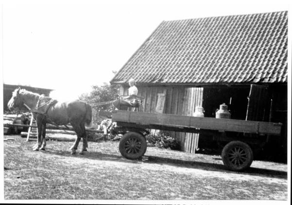 Wildwiese, Milchwagen auf dem Weg zur Molkerei, B07, 02-213