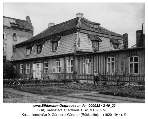 Tilsit, Kastanienstraße 9, Gärtnerei Günther (Rückseite)