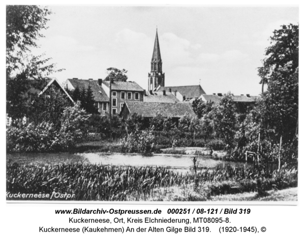 Kuckerneese (Kaukehmen), An der Alten Gilge Bild 319