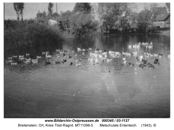 Breitenstein, Metschulats Ententeich