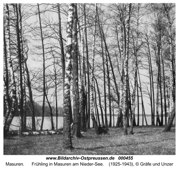 Masuren, Frühling in Masuren am Nieder-See
