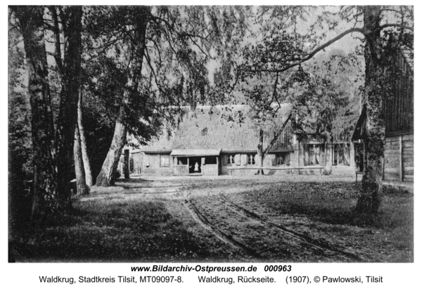 Waldkrug Stadtkr. Tilsit, Waldkrug, Rückseite