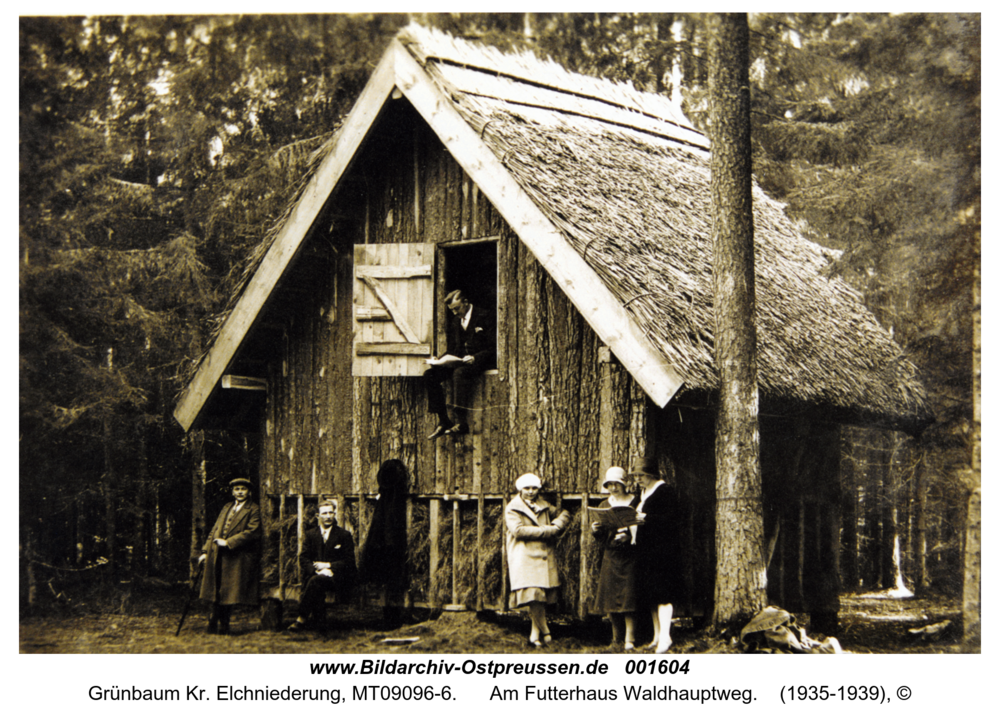 Grünbaum, Am Futterhaus Waldhauptweg