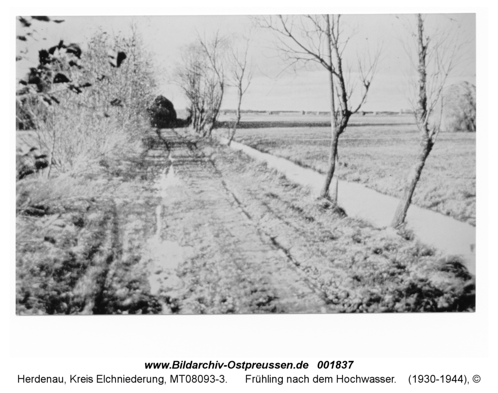 Herdenau, Frühling nach dem Hochwasser