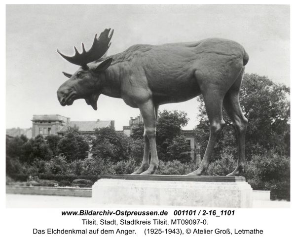 Tilsit, Das Elchdenkmal auf dem Anger