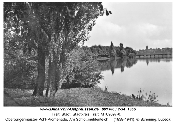 Tilsit, Oberbürgermeister-Pohl-Promenade, Am Schloßmühlenteich