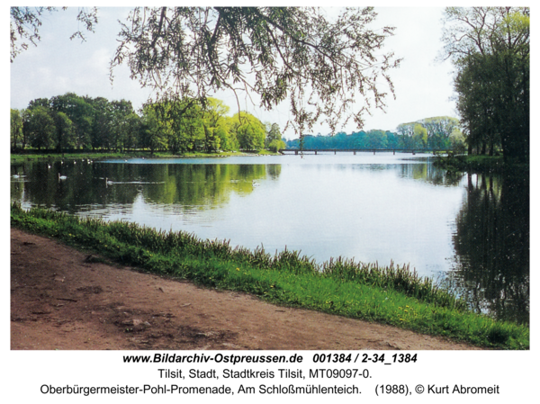 Tilsit, Oberbürgermeister-Pohl-Promenade, Am Schloßmühlenteich