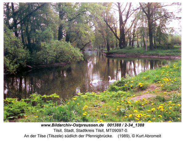 Tilsit, An der Tilse (Tilszele) südlich der Pfennigbrücke