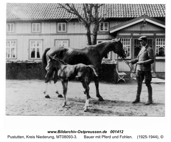 Pustutten, Bauer mit Pferd und Fohlen