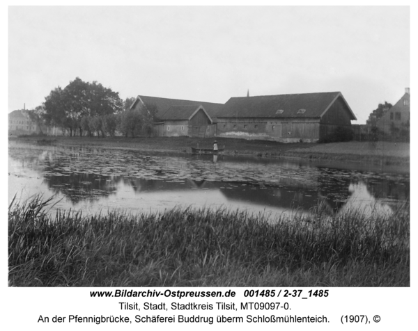 Tilsit, An der Pfennigbrücke, Schäferei Buddrug überm Schloßmühlenteich