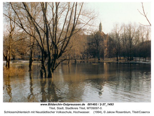 Tilsit, Schlossmühlenteich mit Neustädtischer Volksschule, Hochwasser