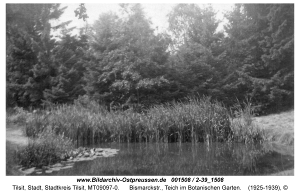 Tilsit, Bismarckstr., Teich im Botanischen Garten