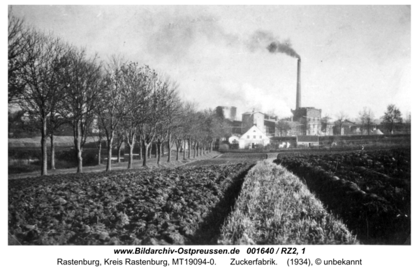 Rastenburg, Zuckerfabrik