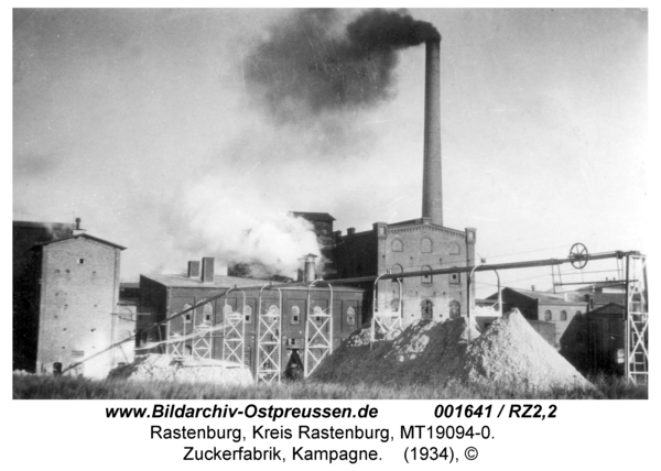 Rastenburg, Zuckerfabrik, Kampagne