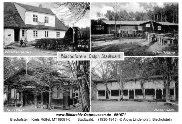 Bischofstein, Stadtwald