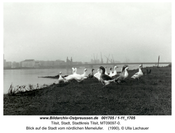 Tilsit, Blick auf die Stadt vom nördlichen Memelufer