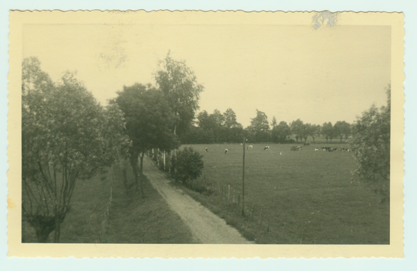 Herdenau, Blick in die Niederung