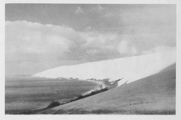 Kurische Nehrung, Wanderdünen bei Nidden