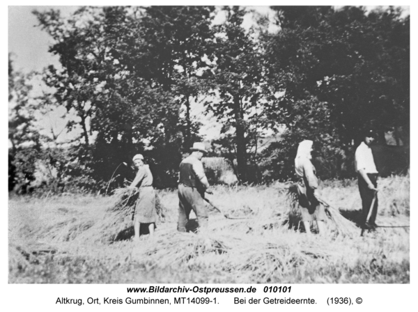 Altkrug, Bei der Getreideernte