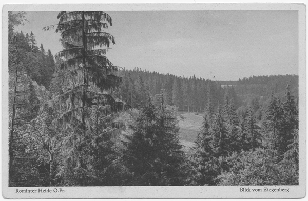 Rominter Heide, Blick vom Ziegenberg