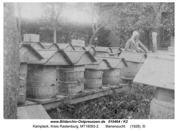 Kamplack, Bienenzucht