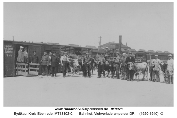 Eydtkau, Bahnhof, Viehverladerampe der DR