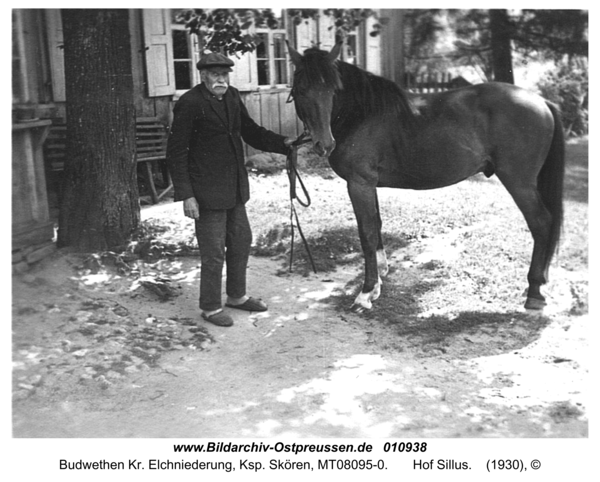 Budwethen Kr. Elchniederung, Ksp. Skören,  Hof Sillus