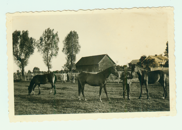 Friedeberg, Hof Poweleit