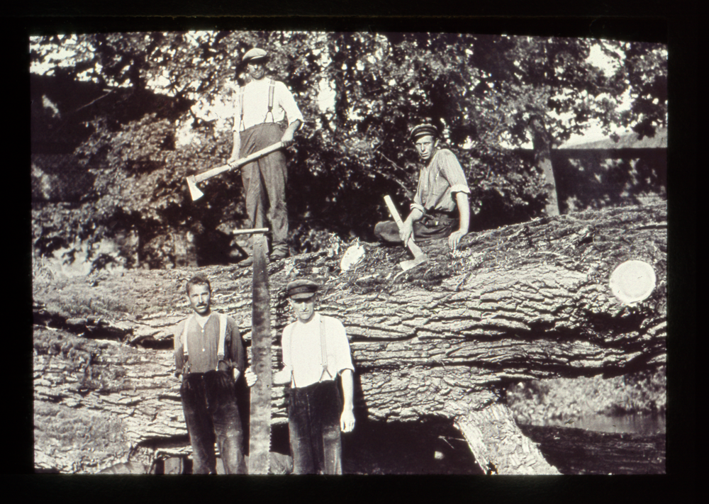 Launingken, Meine besten Holzschläger (Holzfäller) an der Alten Weide