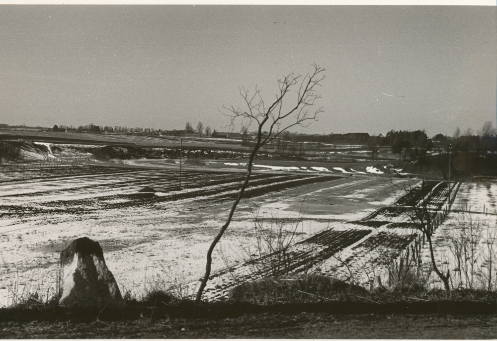 Nördliches Ostpreußen wo?, Felder, Winterlandschaft