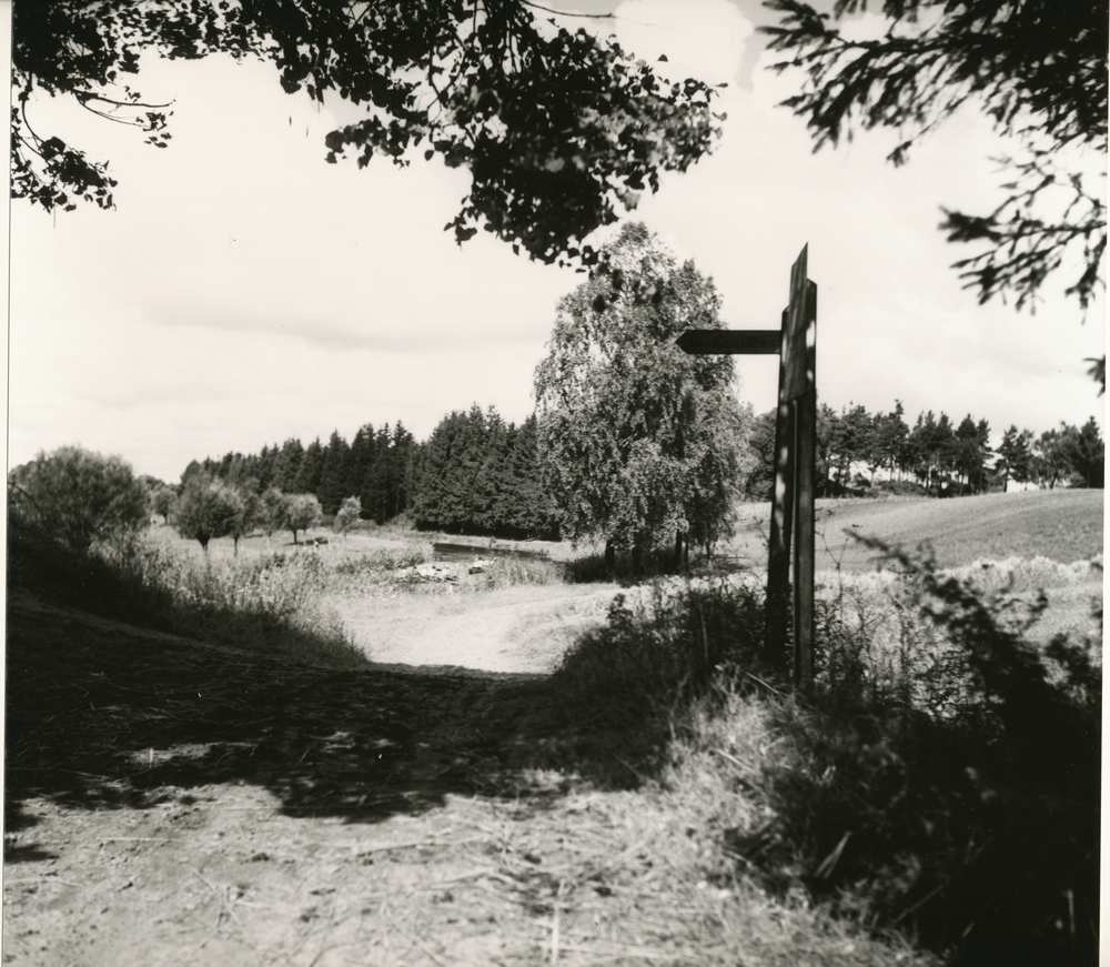 Masuren wo?, Feldweg mit Wegweiser in masurischer Landschaft