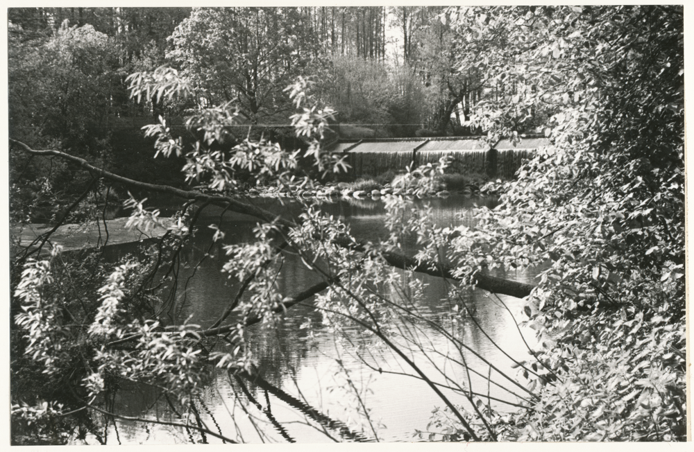 Masuren wo?, Waldsee mit Wasserfall