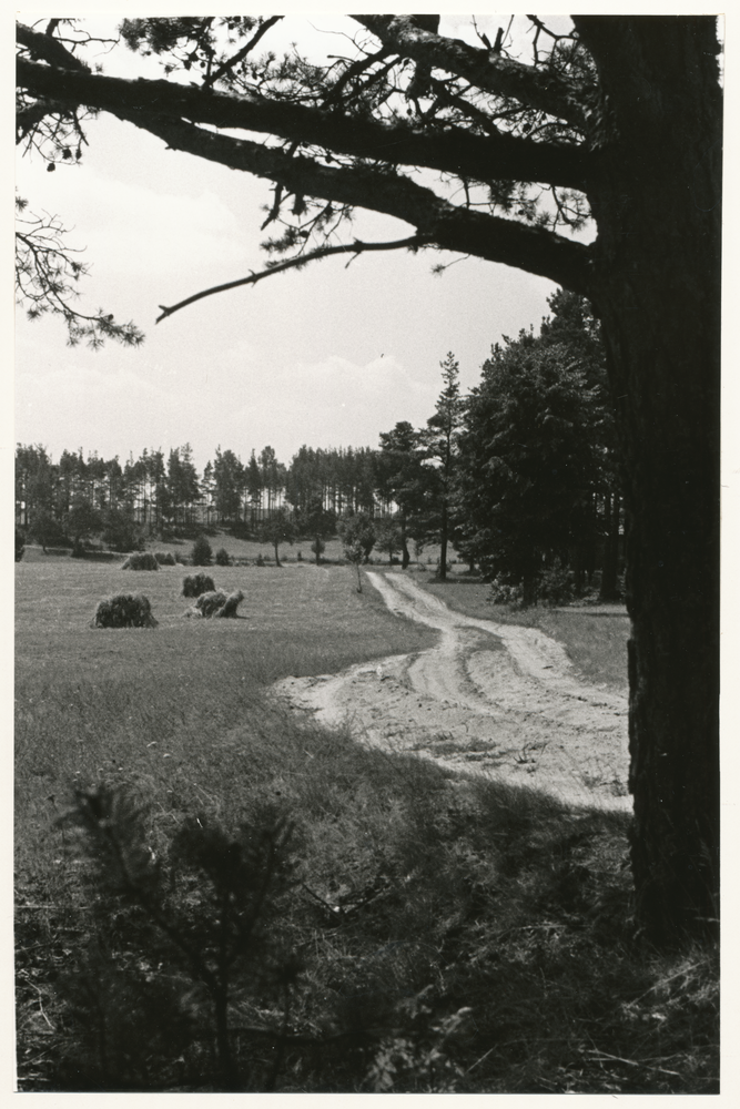 Masuren wo?, Masurische Landschaft, Feldweg am abgeernteten Feld mit Getreidehocken