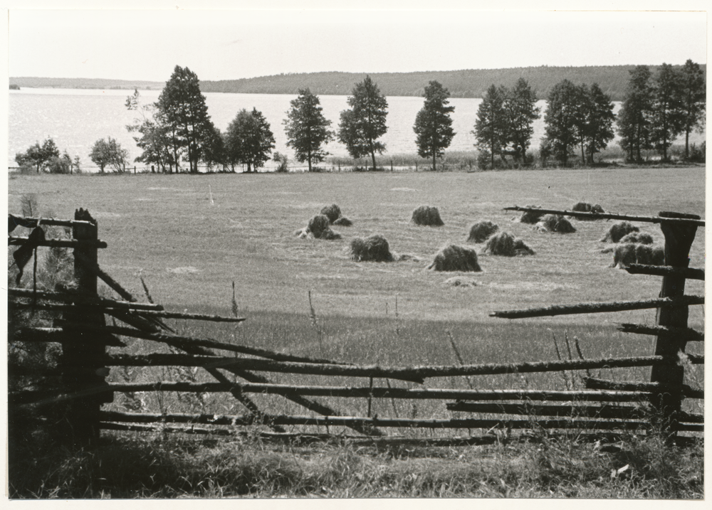 Masuren wo?, Masurische Landschaft, Wiese mit Heuhaufen am See