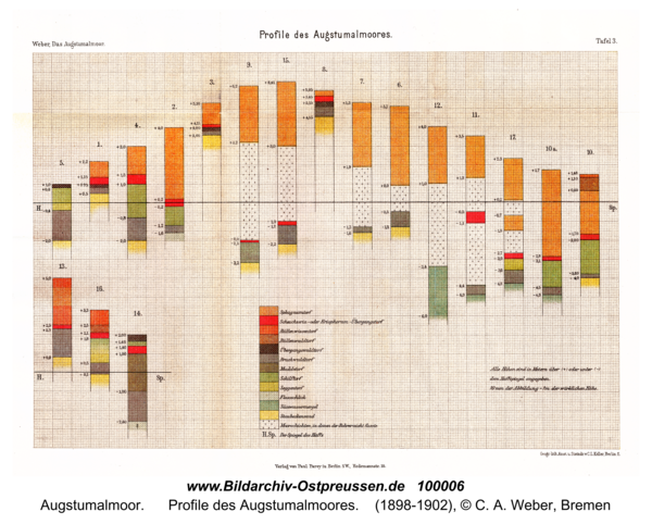 Augstumalmoor, Profile des Augstumalmoores