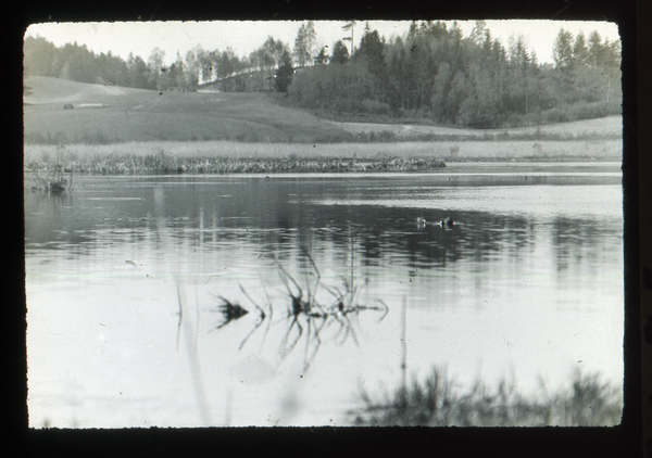 Klein Guja, Am Nordenburger See, unter der Heide