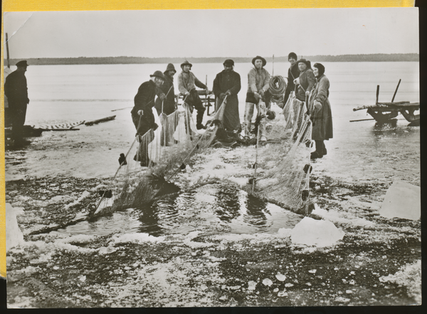 Kurisches Haff, Fischen  im Winter