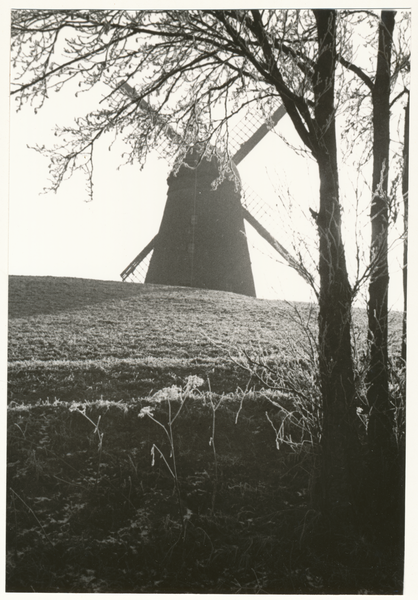 Nördliches Ostpreußen wo?, Windmühle