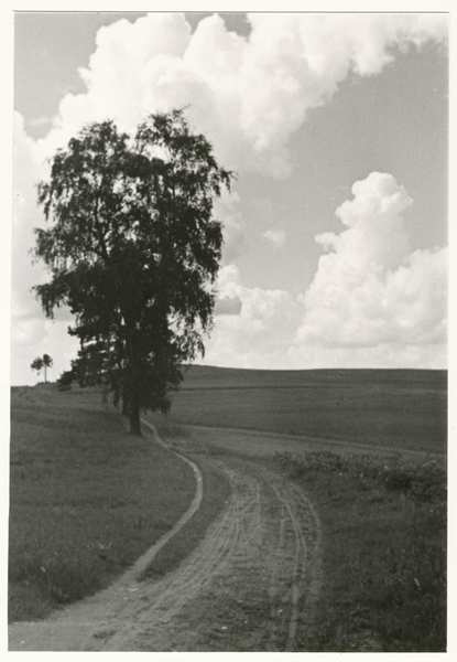 Nördliches Ostpreußen wo?, Feldweg