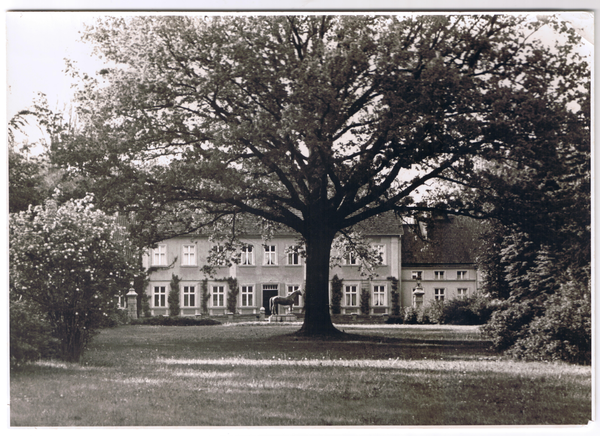 Groß Trakehnen, Landstallmeisterhaus mit Eiche und Tempelhüterdenkmal