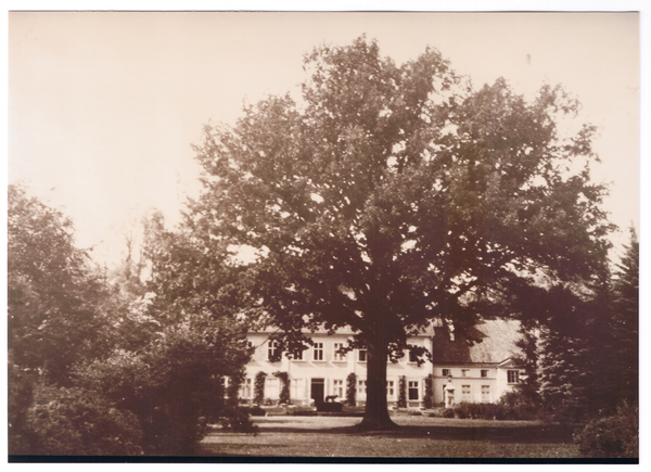 Groß Trakehnen, Landstallmeisterhaus mit Eiche und einer Wolfsplastik